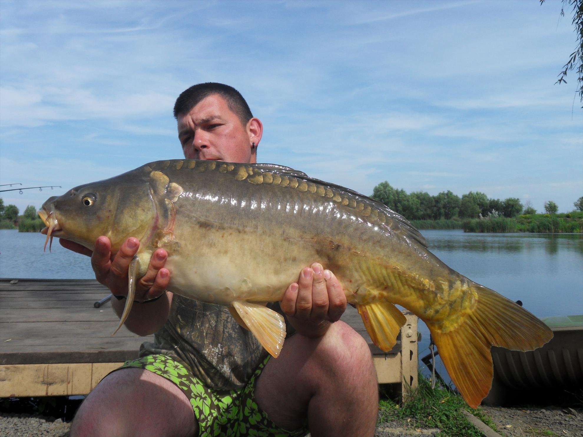 Nagykallo 2011 - nagykallo2011-159.JPG